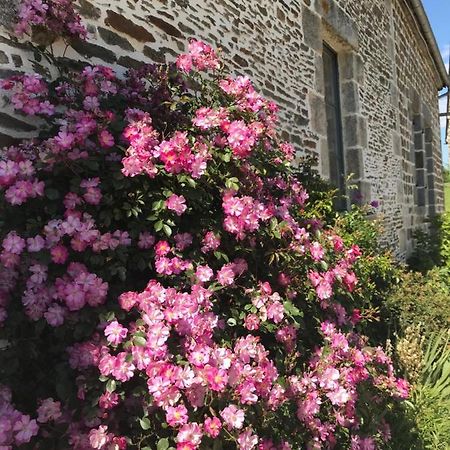 Bed and Breakfast La Corbonniere Geneslay Exterior foto