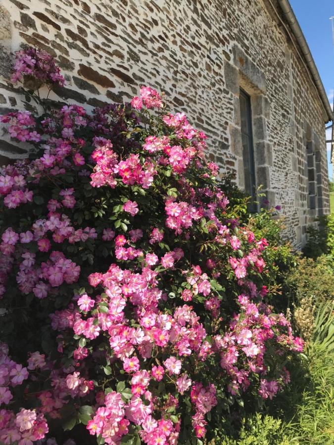 Bed and Breakfast La Corbonniere Geneslay Exterior foto